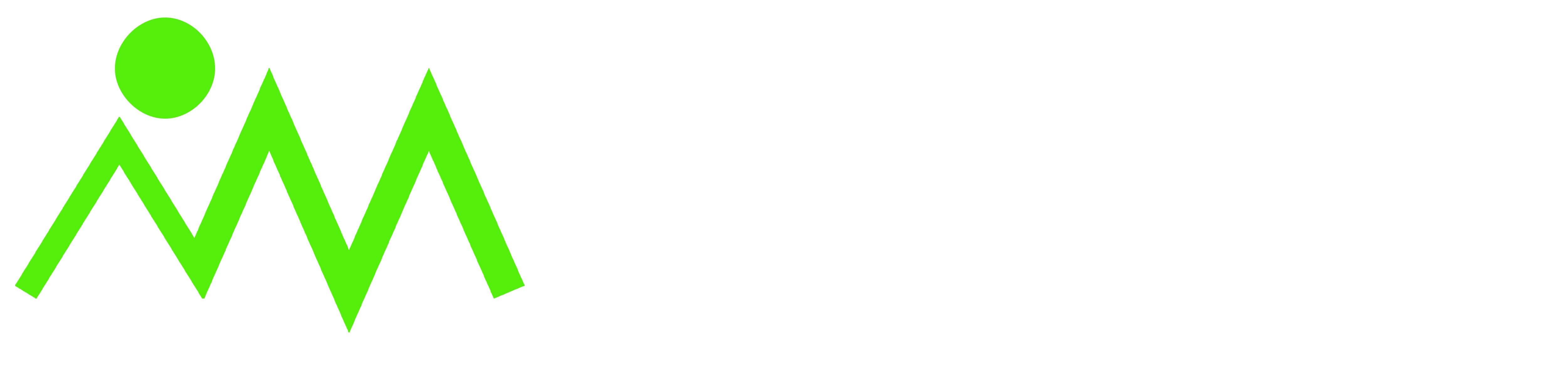 vanwerk-logo-white-1